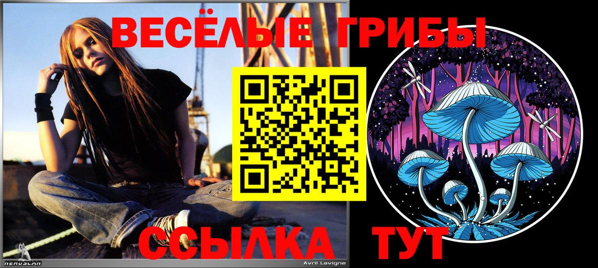 Зеленокумск  наркошоп  Галлюциногенные грибы Magic Shrooms  Вход с VPN  Псилоцибиновые грибы Psilocybine cubensis 